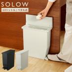 SOLOWso low педаль открытый twin 13L мусорная корзина экспресс доставка на дом указание 