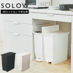 SOLOWso low педаль открытый twin 35L мусорная корзина экспресс доставка курьером бесплатный 