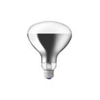  скала мыс наружный . свет для . свет форма E26 RF110V135WH