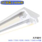 LED лампа дневного света прибор LED беж скользящий обратный Fuji 3 лампа 40W форма лампа дневного света осветительное оборудование крепление непосредственно к потолку type объект освещение потолочный светильник семья завод склад магазин больница 