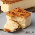 ショッピングケーキ 【20周年記念ノベルティ付き】【数量限定】幻のガイアチーズケーキ （キャラメルとバニラ） 【冷凍便】【朝9時までの注文で当日出荷可】※12月7日までのお届け