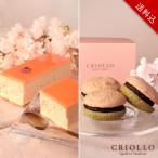 【送料込】幻のさくらチーズケーキ