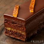 【チョコレートケーキ】トレゾー・オレンジ【冷凍便】【2〜5営業日で出荷】