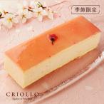 [ сезон ограничение ] иллюзия. Sakura чизкейк [rekta( прямоугольный кекс )][ рефрижератор рейс ][ утро 9 часов до. заказ . этот день отгрузка возможно ] *4 месяц 7 до дня. доставка 