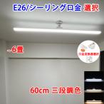 LED потолочный светильник 6 татами для E26 60cm потолочная розетка застежка изменение контейнер выбор возможность 3 уровень тонировка одним движением установка LED лампа дневного света 2 шт соответствует LED беж скользящий E26-TE60