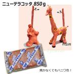 ニューテラコッタ　850ｇ 素焼き風作品が出来る粘土 夏休み 工作 自由研究 キット 小学生 自由工作 手作り 小学校 冬休み