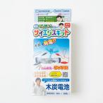 木炭電池キット 電気の実験が出来る理科自由研究サイエンスキット