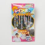 レインボー サンキャッチャー〔はじめてのかがくあそび〕 理科実験 自由研究/夏休み/冬休み/ ネコポス