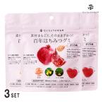 ショッピンググミ (3個セット)だいじょうぶなもの 百年はちみつグミ ざくろ味(百年 はちみつ お菓子 おやつ ザクロ レモン ハチミツ 蜂蜜 国産グミ ギルトフリー 4528636980276)