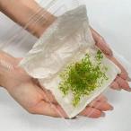 ( водоросли ) местного производства pearl-grass ( нет пестициды ) средний .. после .. водный лист 