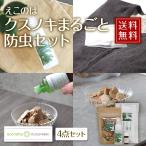 クスノキまるごと・防