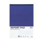  плюс (PLUS) отчет накладка A4 B.6mm 50 листов RE-250B 10 шт. упаковка 76-835