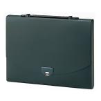 se регулирование plain g2 way кейс черный AP-952-60