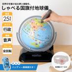 ショッピングしゃべる地球儀 レイメイ藤井　しゃべる国旗付き地球儀　OYV403　球径25cm+ハンディ顕微鏡RXT150A　ブルー　おまけ付