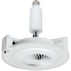 LED電球、LED蛍光灯