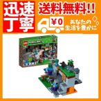 レゴ(LEGO) マインクラフト ゾンビの洞くつ 21141