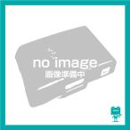 ナショナル National カメラ PP-ZN/P3バッテリー リフレッシュ(純正品お預かり再生/セル交換)