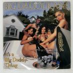 US запись BIG DADDY KANE/IT'S A BIG DADDY THING/COLD CHILLIN' 125941 LP