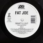  рис US запись FAT JOE/WHAT'S LUV? / DEFINITION OF A DON/ATLANTIC 085233 12