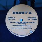 рис US запись SADAT X/IT GO'S DOWN ONES AGAIN/DL PRODUCTIONS INC. DL010 12