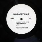  рис US запись BIG DADDY KANE/HOLD IT DOWN / UNDA PRESHA/THE LABEL TL001 12