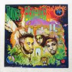 US запись JUNGLE BROTHERS/DONE BY THE FORCES OF NATURE/WARNER BROS. 9260721 LP