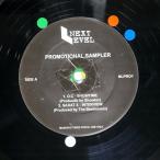  образец запись UK запись VA/NEXT LEVEL: PROMOTIONAL SAMPLER/NEXT LEVEL RECORDINGS NLPRO1 12