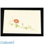 7960400 尺三 懐石まっと クリーム（１００枚入）ＷＳＳ−１０ 朝顔（７月〜８月）