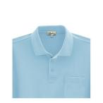 4532484524360 CAROL 205nagasote Polo siyatsu цвет : sax размер :LL