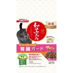 猫用ドライフード