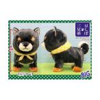 4534943724687 【12個入】豆しば三兄弟BIG 豆ジロー【キャンセル不可】