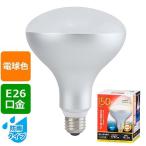 LED電球、LED蛍光灯