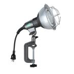 ハタヤリミテッド RGL-0W LED作業灯 RGL0W 20W 屋外用 HATAYA 20W広角タイプLEDランプ付 昼白色