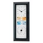 エンペックス気象計 BW-5038 晴天