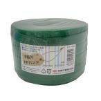 信越工業 100551 手芸用PPバンド 15mm×1