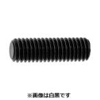 【個人宅配送不可】【個数：1000個】ＳＵＮＣＯ 4525824149576 【1000個入】 直送 代引不可 HS 日産ネジ 平先 5 X 16