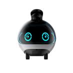 EBO X 直送 代引不可・他メーカー同梱不可 エナボット EBO X Family Companion Robot 【1入】