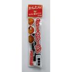 高森コーキ RPN-17 キズかくしカラーペン チョコレート RPN17