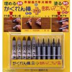 建築の友 AM-30 カクレン棒 ミニ５色＋マニキュアミニミニ５色 AM30 かくれん棒ミニ5色＋マニキュアミニミニ5色