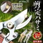 アウトレット 剪定 ばさみ 強力 はさみ ハサミ 庭 木 ガーデニング ガーデン 園芸 枝切り 枝 切り ロック 作業 鋏 手入れ 家庭菜園 30mm