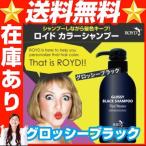 ROYD（ロイド）カラーシャンプーグロッシーブラック