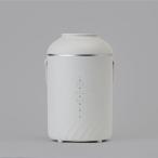 cocono здесь noairy fog слоновая кость CH-S41SS-IV паровой увлажнитель 