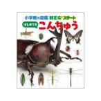[ Shogakukan Inc.. иллюстрированная книга NEO старт впервые .. .....] Maruyama . выгода ( Shogakukan Inc. )