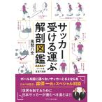 [ футбол получать нести анатомия иллюстрированная книга ] способ промежуток ..(eks знания )