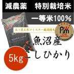 お米 5kg 新米 令和6年産 新潟県 魚沼産コシヒカリ 5kg 特別栽培米 (減農薬米・減化学肥料米)
