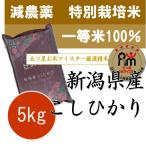 お米 5kg 新米 令和4年産 新潟産 コシヒカリ 5kg 特別栽培米 (減農薬米・減化学肥料米)
