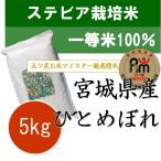 お米 5kg 新米 令和6年産 宮城県産 ひとめぼれ 5kg ステビア栽培 一等米 100%