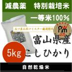 お米 5kg 新米 令和4年産 富山県 南砺産 コシヒカリ 5kg 特別栽培米 (減農薬・減化学肥料) 自然乾燥米