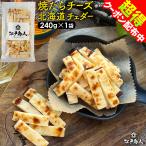 全品超得クーポン 焼たらチーズ 北海道 チェダー 240g×1袋 チータラ チーズたら チーズ 鱈 白身 酒 おつまみ お取り寄せ  江戸商人印 父の日