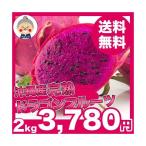  питахайя ( красный ) 2kg бесплатная доставка Okinawa специальный продукт Okinawa земля производство Okinawa фрукты pi Taya . кожа . дракон. u Logo ..... поэтому l питахайя l